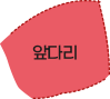 앞다리