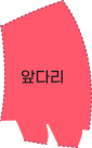 앞다리