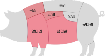 돼지전체